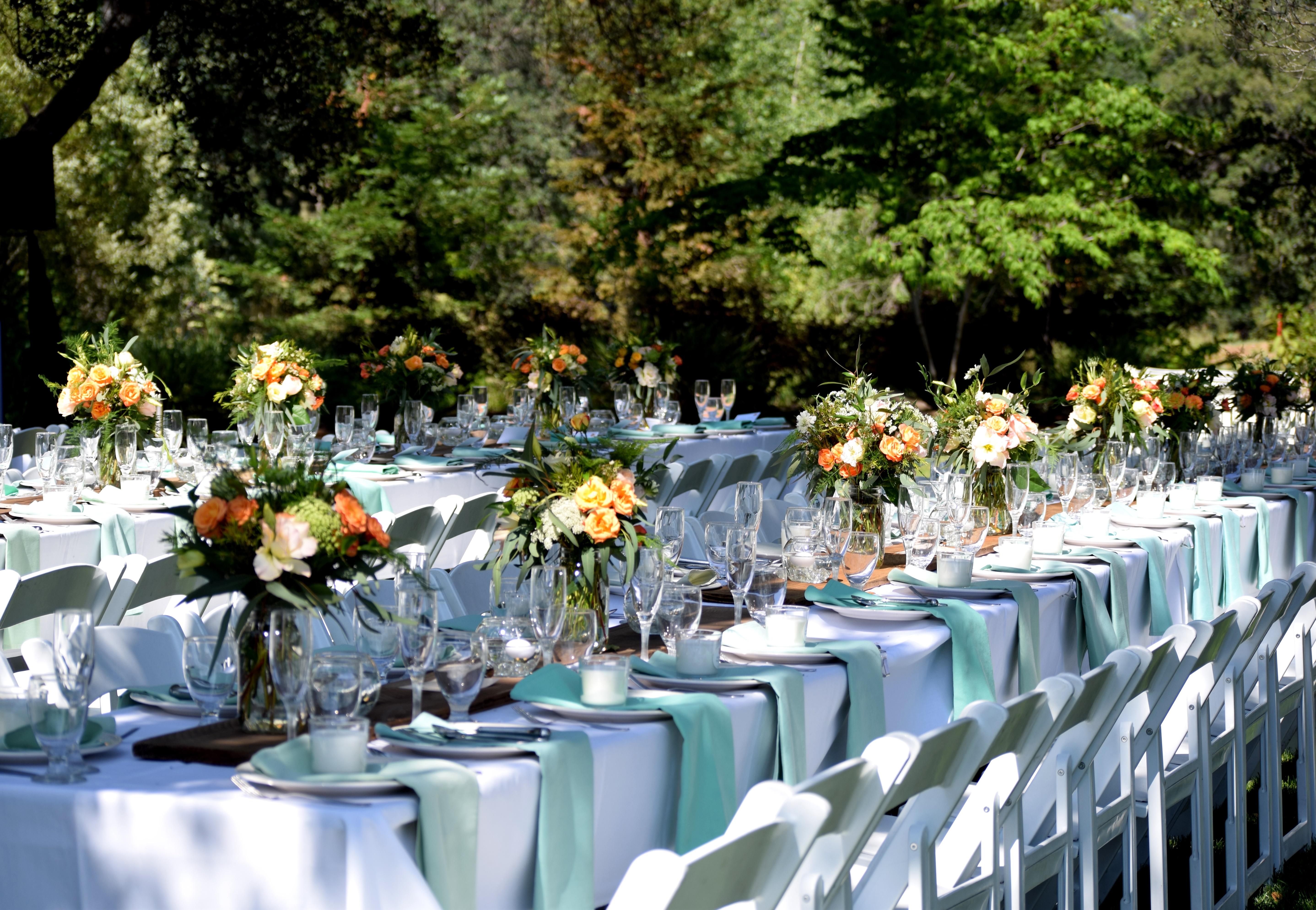 Wedding Venues Chico Ca chico wedding venues butte county oaks Wedding Venues Chico Ca chico wedding venues butte county oaks